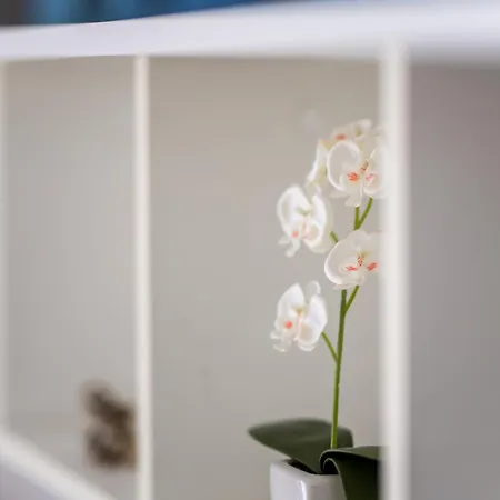 Apartment Marija