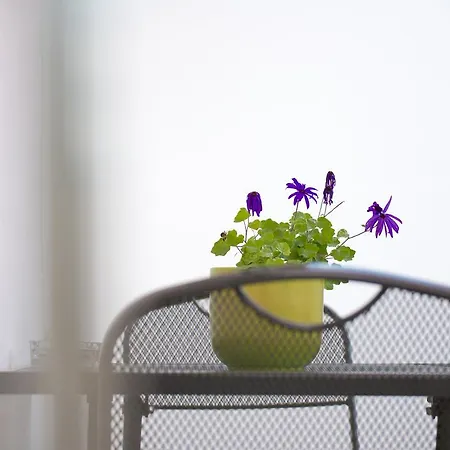 Marija Starigrad Paklenica