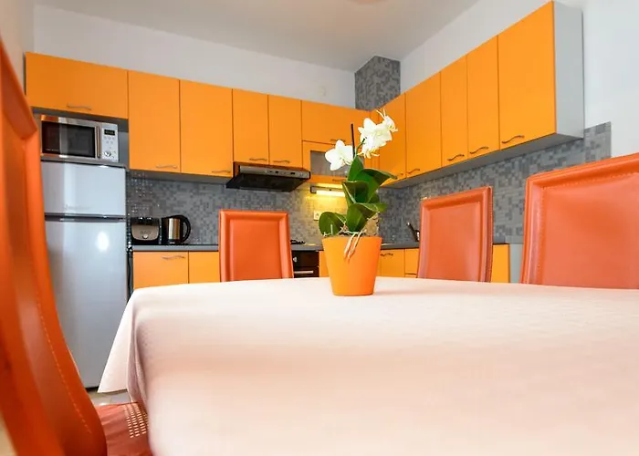 Marija 스타리그라드 파클레니차